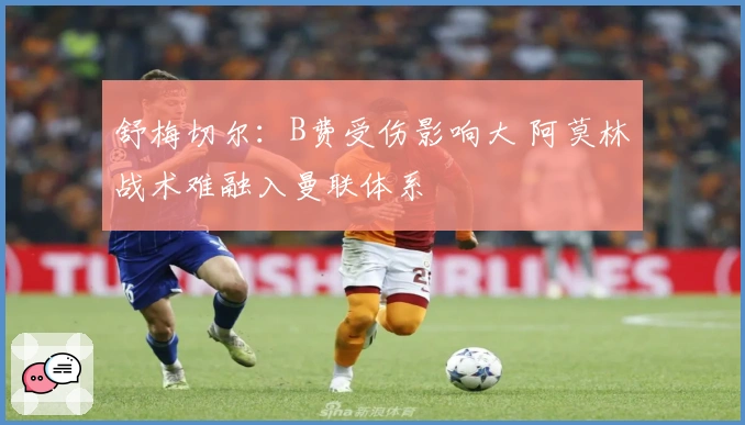 舒梅切尔：B费受伤影响大 阿莫林战术难融入曼联体系