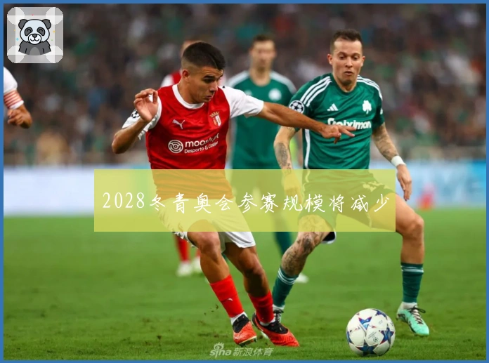 2028冬青奥会参赛规模将减少