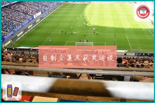 自制合集及获奖访谈