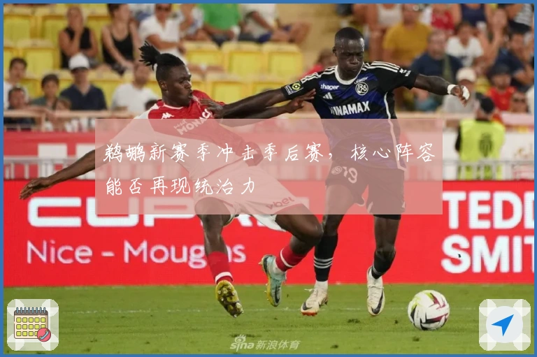 鹈鹕新赛季冲击季后赛，核心阵容能否再现统治力