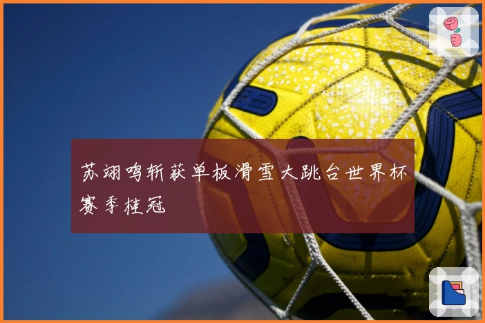 苏翊鸣斩获单板滑雪大跳台世界杯赛季桂冠