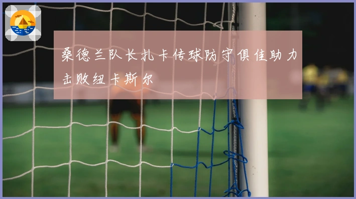 桑德兰队长扎卡传球防守俱佳助力击败纽卡斯尔